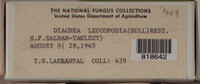 Image Associated With the Occurence